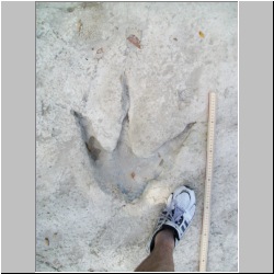 100_0176 (2009-24-07).JPG